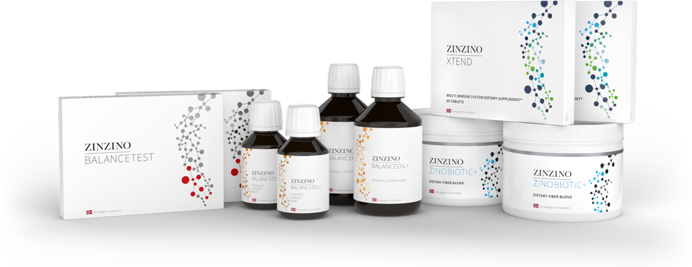 ZINZINO Health protocol